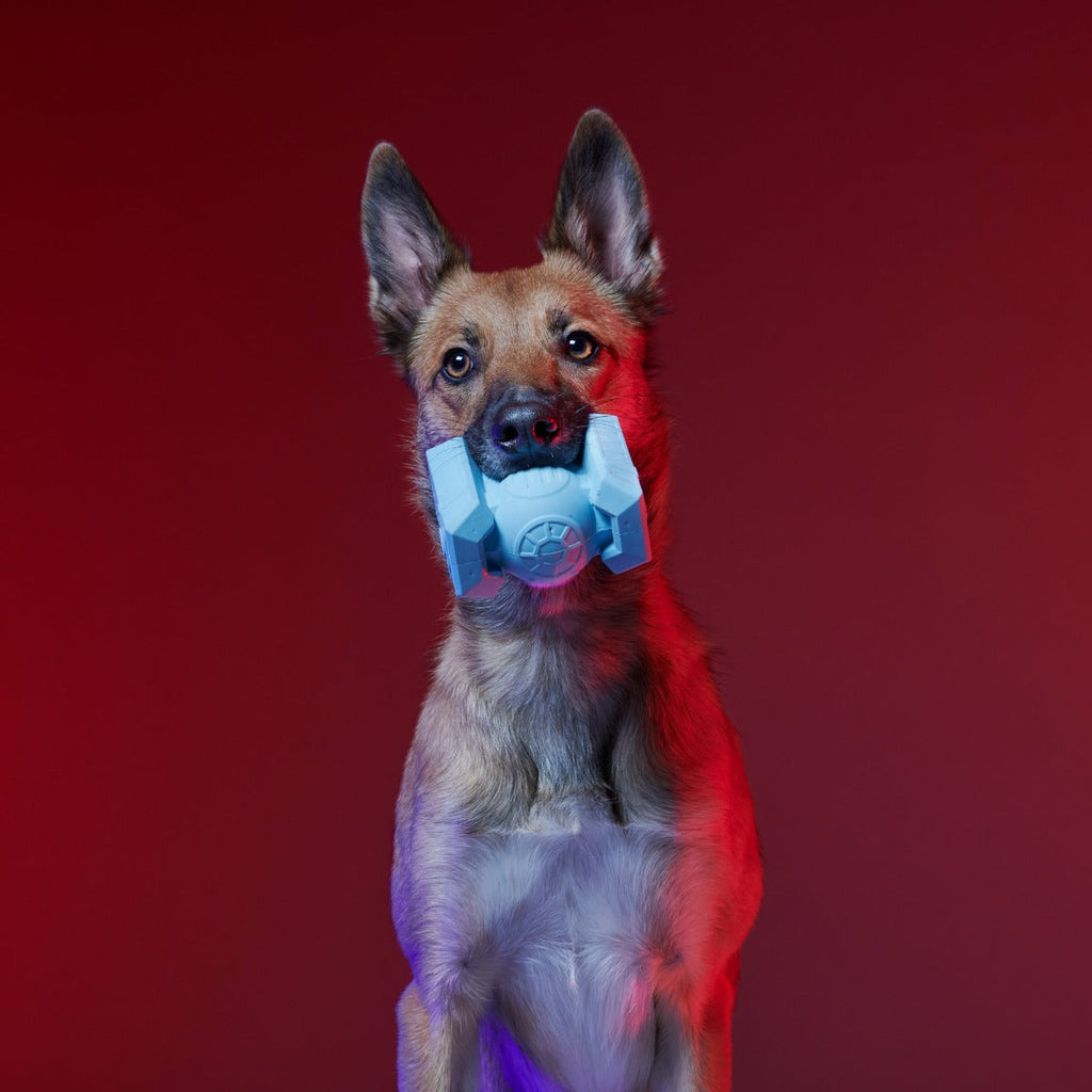 Dark Side Star WarsTM Super Chewer Durable Bundle 2-in-1 + Fetch Dog Toy
