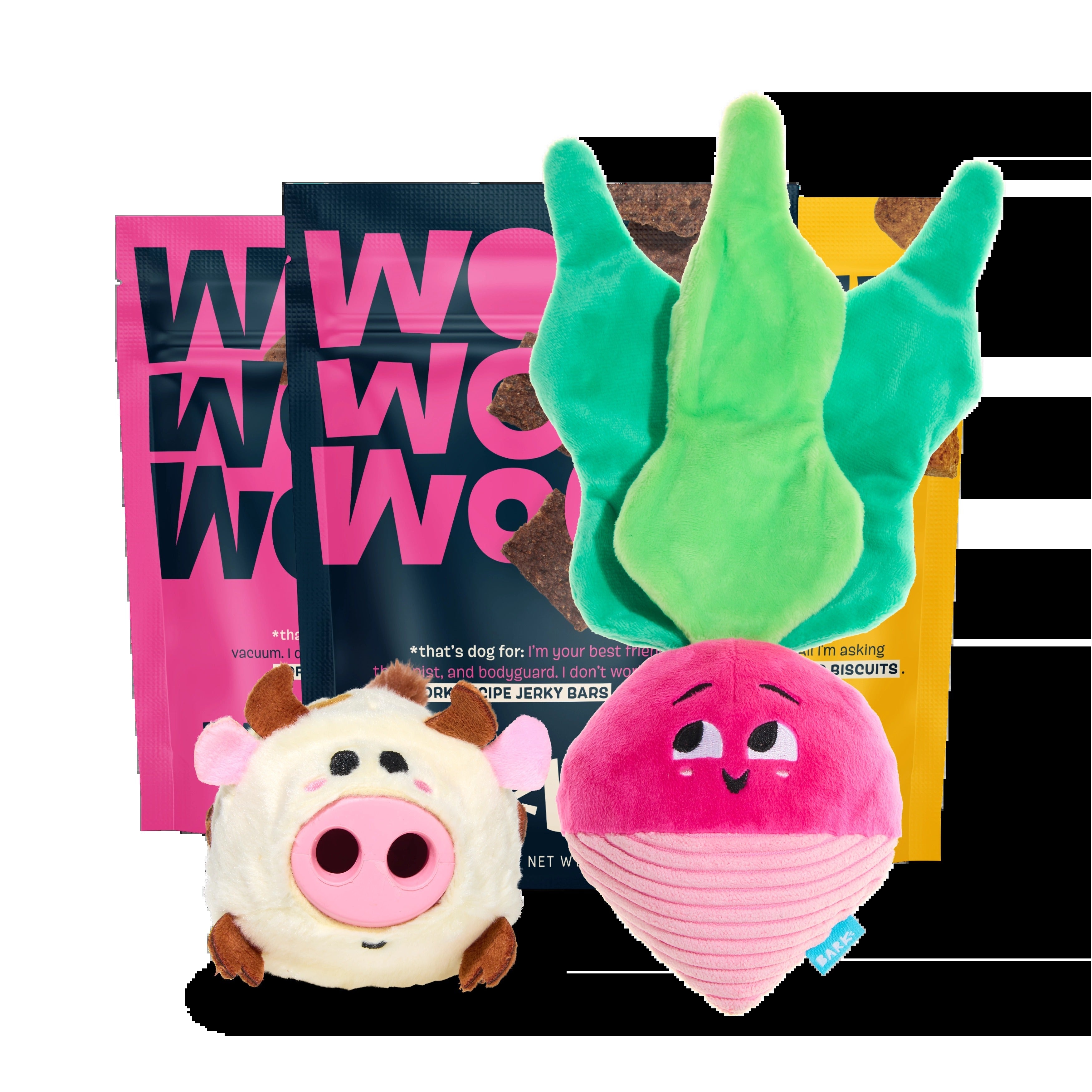 BARK 6 Month Subscription - FREE Extra Treats