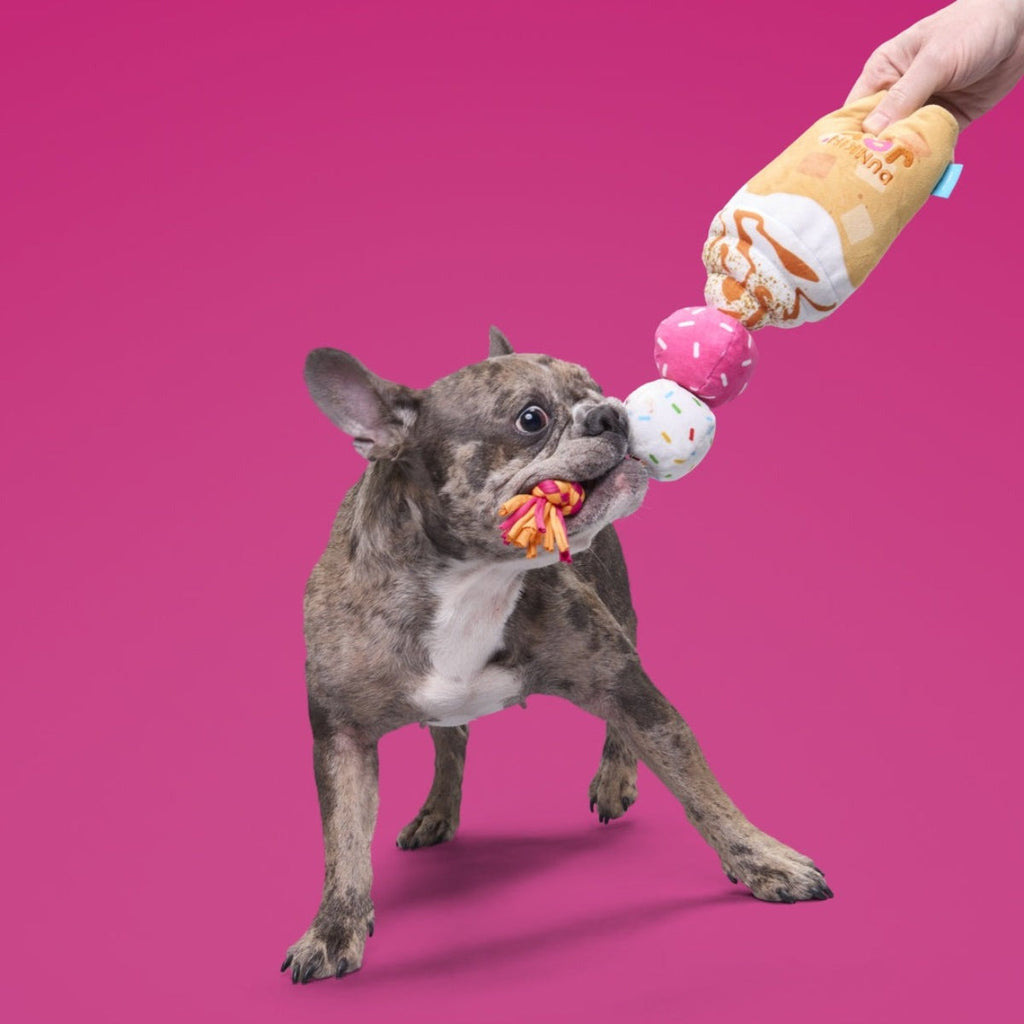 Dunkin'® Pumpkin Signature Latte Plush Tug Dog Toy