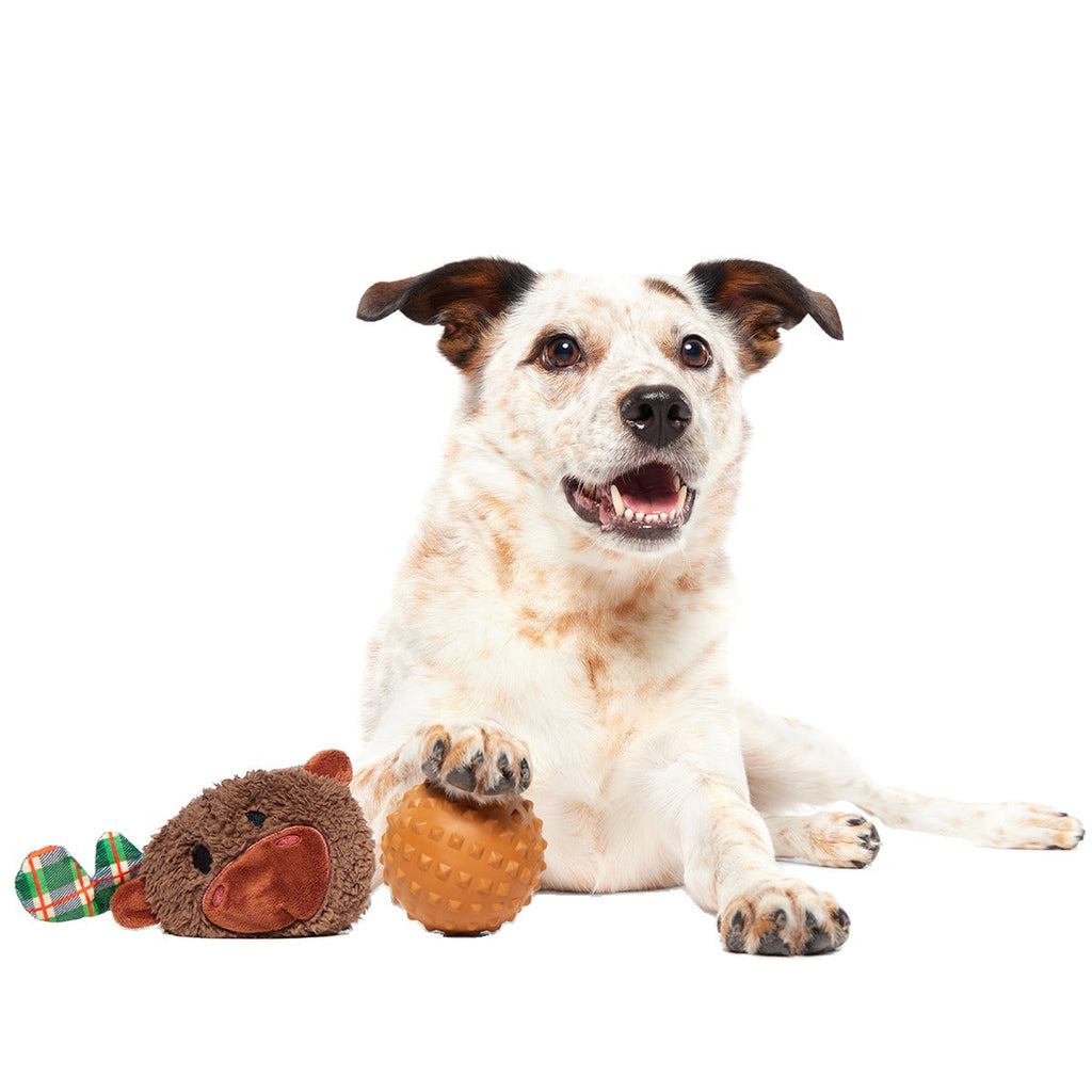 Plaidamoose Super Chewer Durable 2-in-1 + Fetch Dog Toy