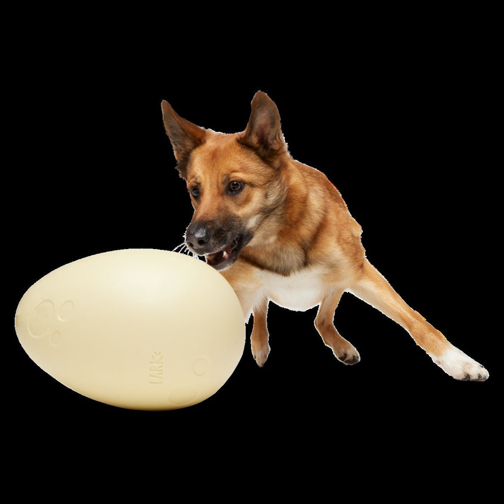 Dinosaur Egg Super Chewer Durable Extra-Large + Fetch Dog Toy