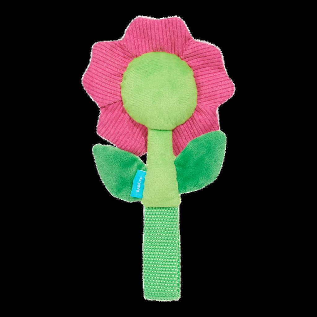 Penny Pechewnia Plush Tug Dog Toy