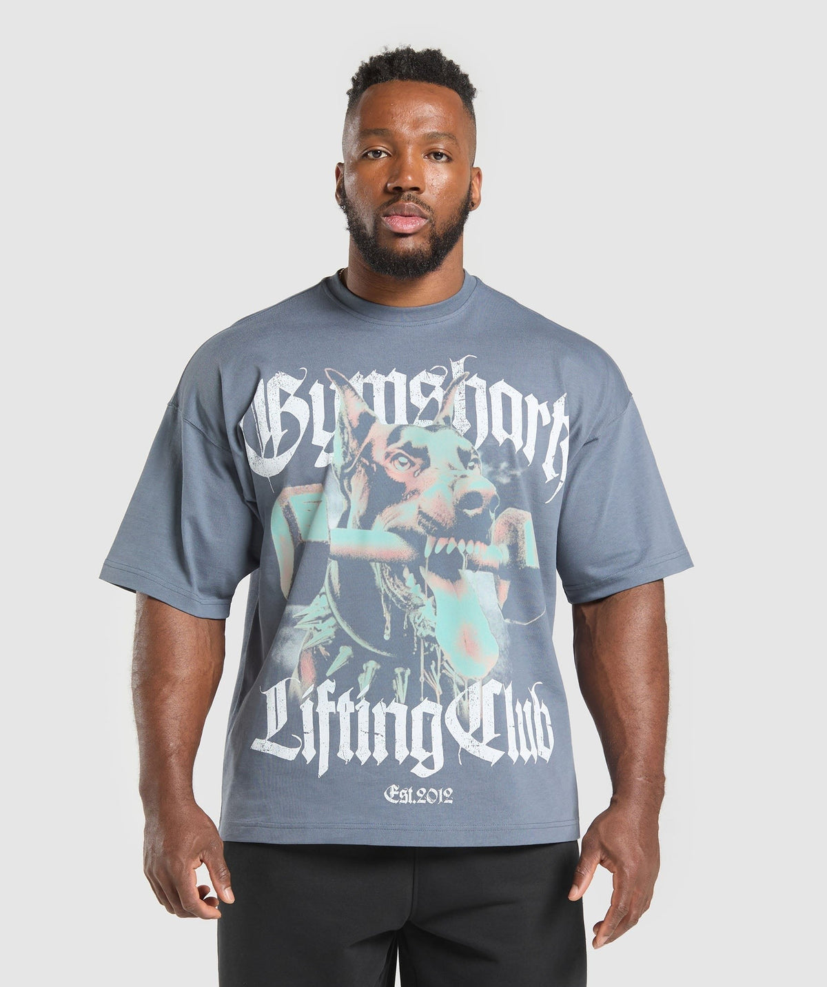 Gymshark Doberman Graphic Tee - Iron Blue
