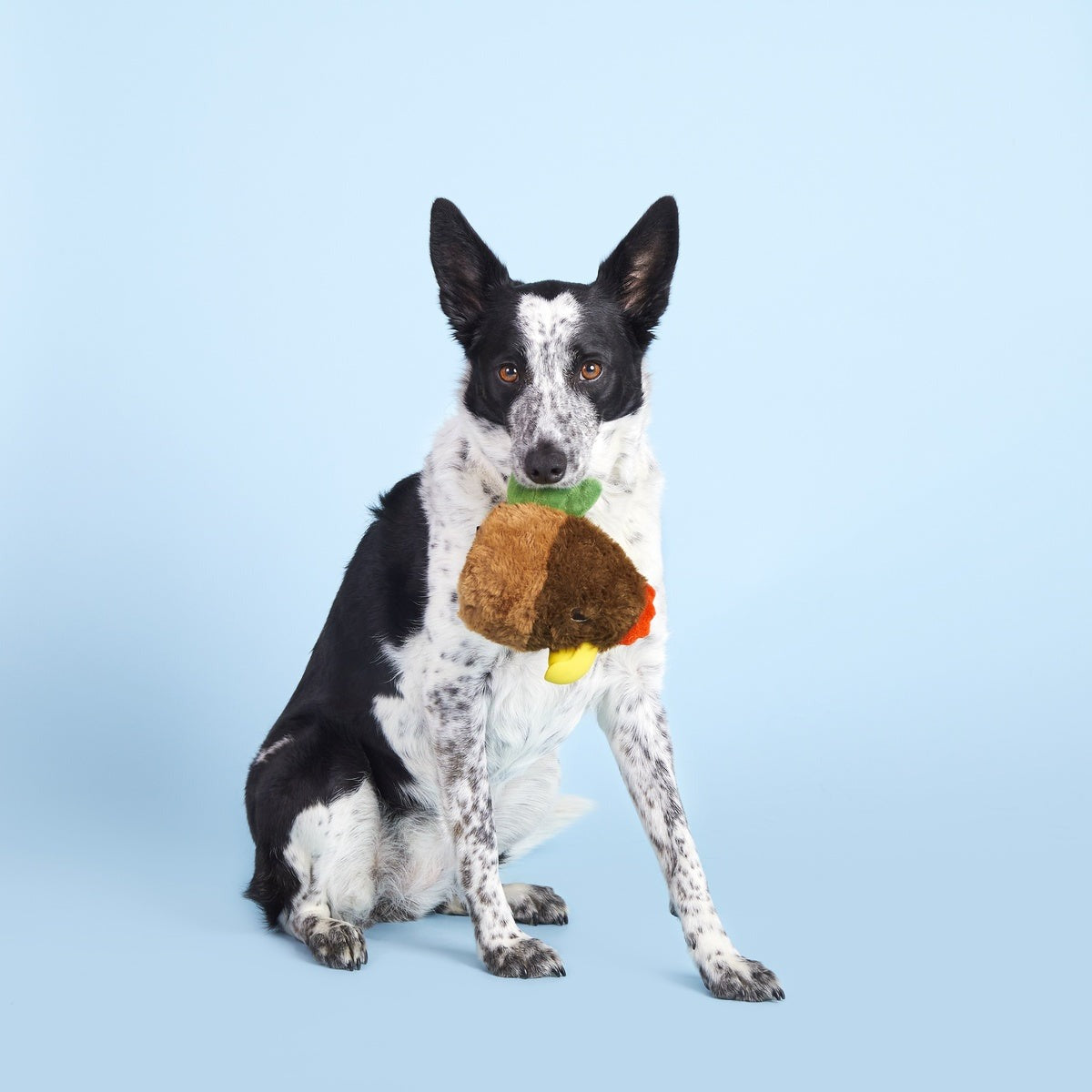 Fowl Play Durable Super Chewer 2-in-1 Rip and Reveal + Enrichment Dog Toy