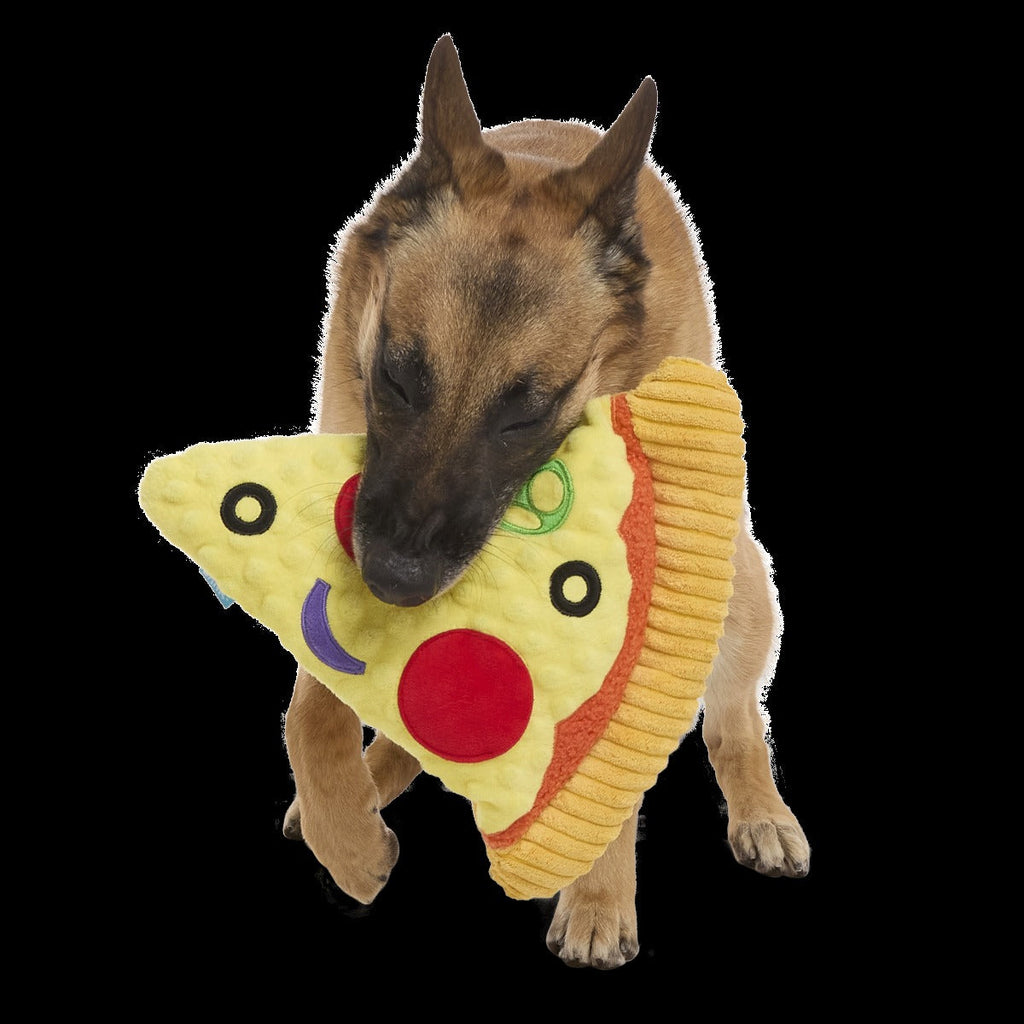 Extra-Large Toy Club, Monthly Plush XL Dog Toys