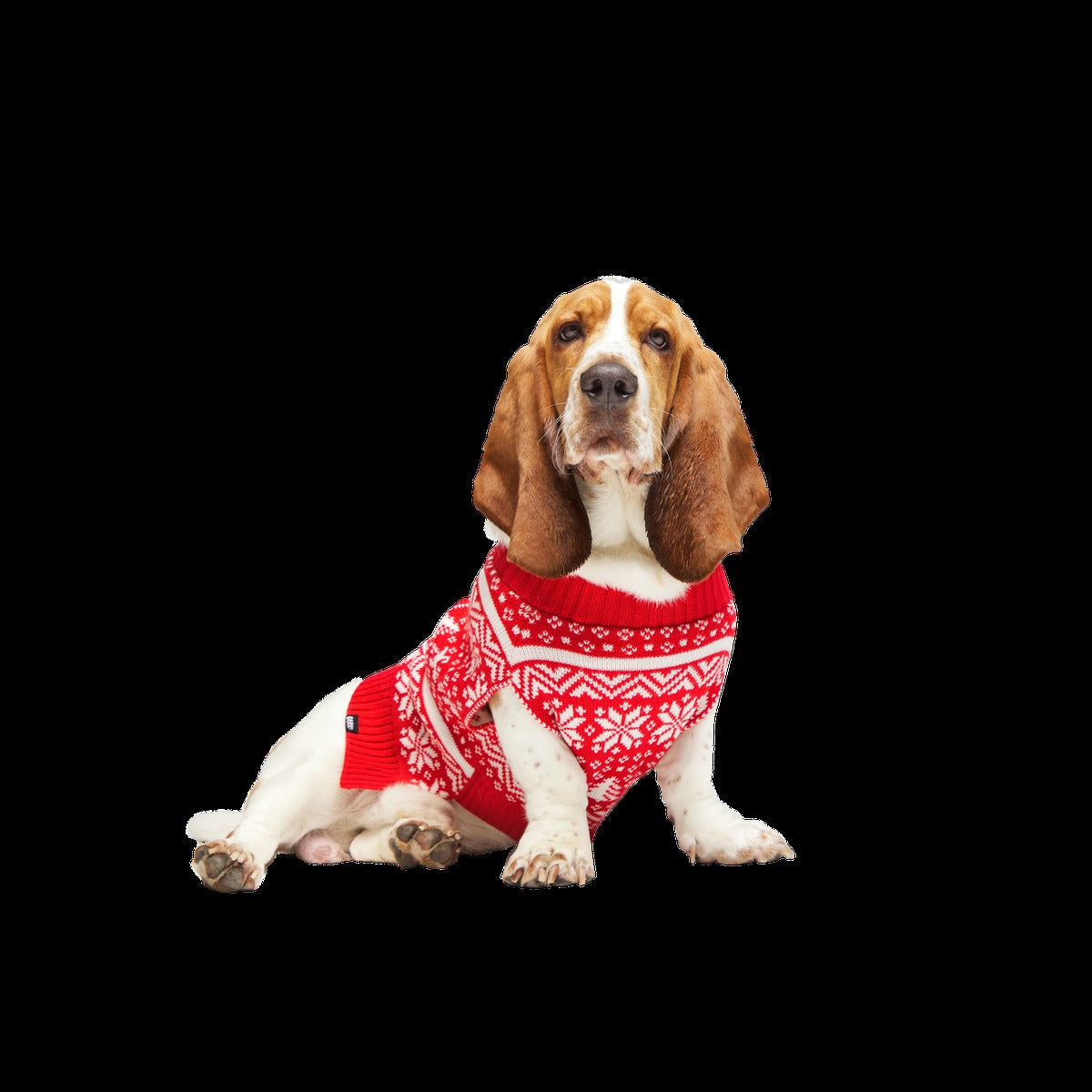 Holiday Sweater Wearable For Dogs