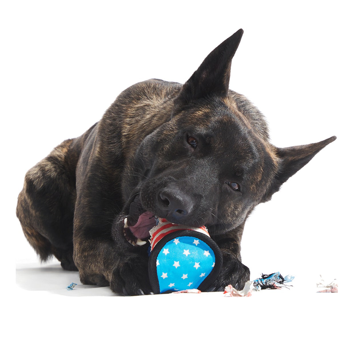 Base Brawl Super Chewer Durable 2-in-1 Fetch Dog Toy