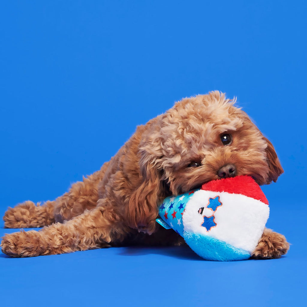 Liberty Cone Plush Fetch Dog Toy