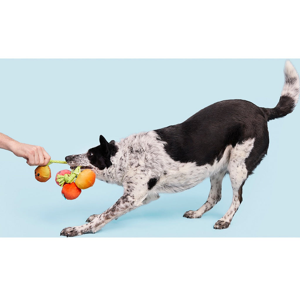 Hairloom Tomatoes Plush Tug Dog Toy