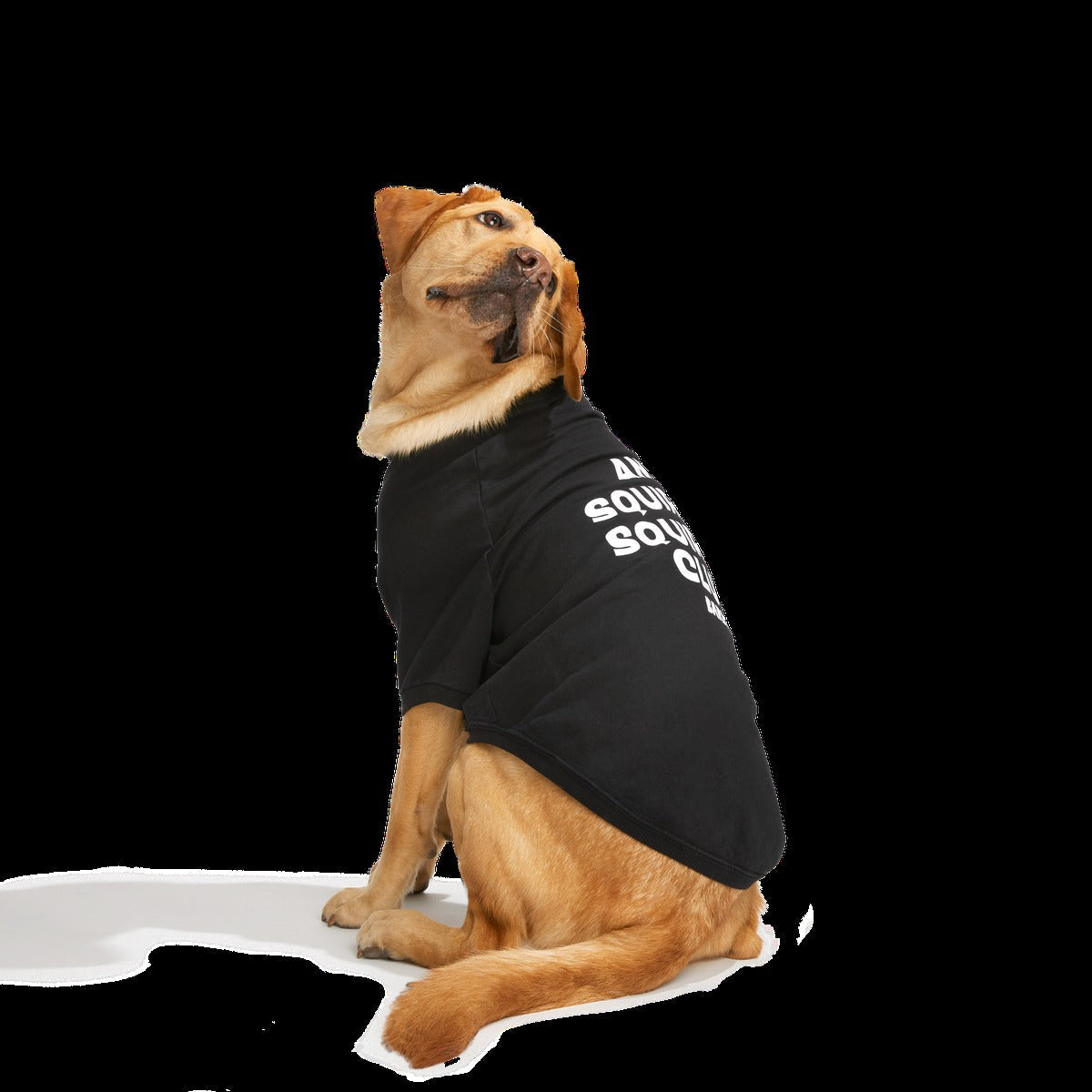 Anti-Squirrel Squirrel Club Dog Sweatshirt