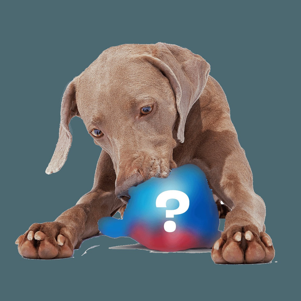 Secret Monster Club, Super Chewer Durable 2-in-1 Rip and Reveal Monthly Dog Toys