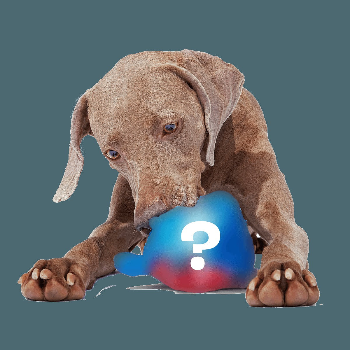 Secret Monster Club, Super Chewer Durable 2-in-1 Rip and Reveal Monthly Dog Toys