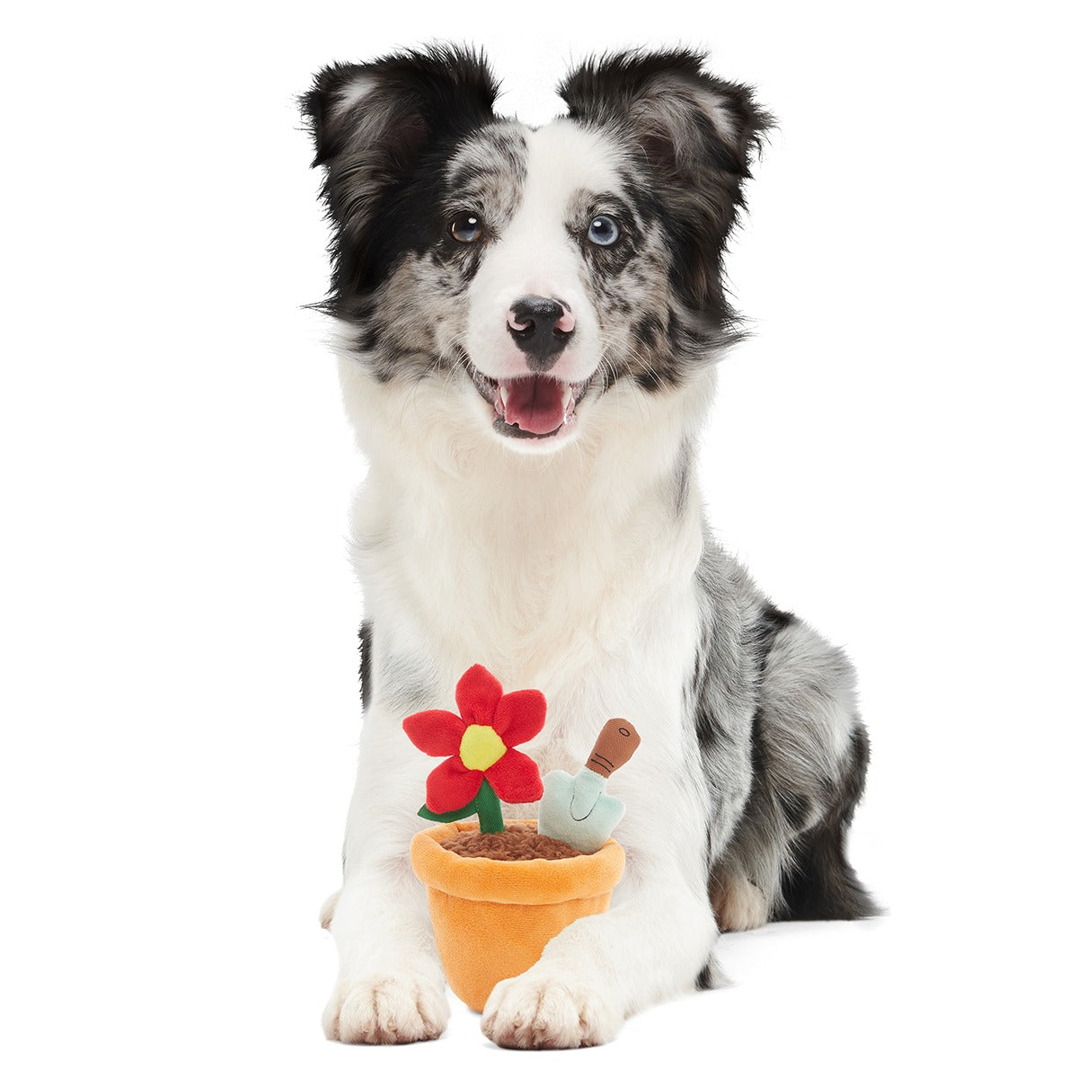 Pawtted Plant Plush Tug Dog Toy