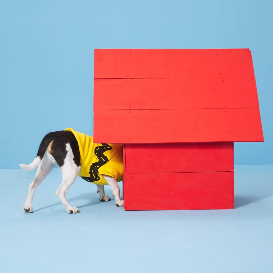 Peanuts Dog Sweatshirt