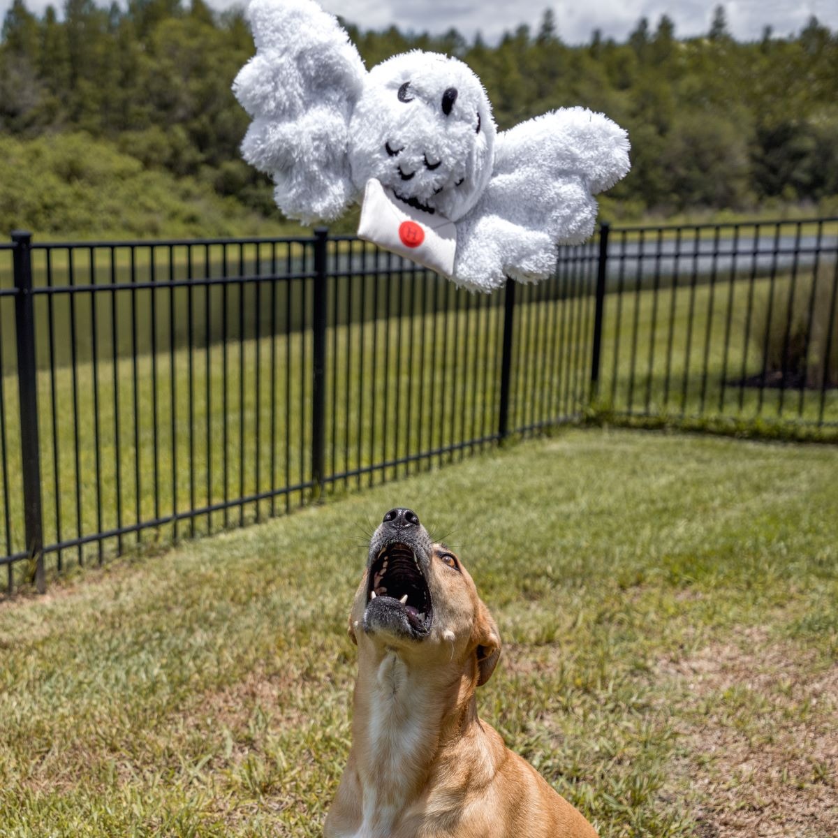 HedwigTM Plush Tug Dog Toy