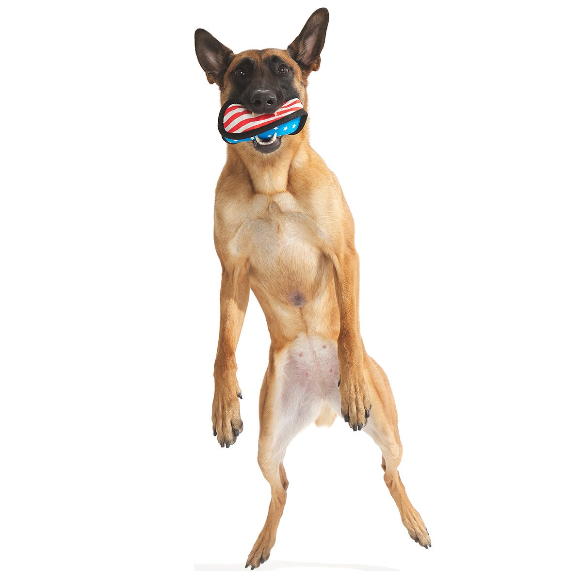 Flag Toofball Super Chewer Durable 2-in-1 + Fetch Dog Toy