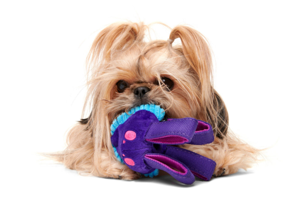 Karen Kraken Super Chewer Durable Tug Dog Toy