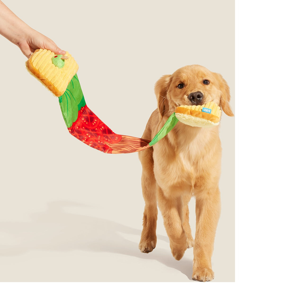 Barkin, Lettuce & Tomutto Plush Tug Dog Toy