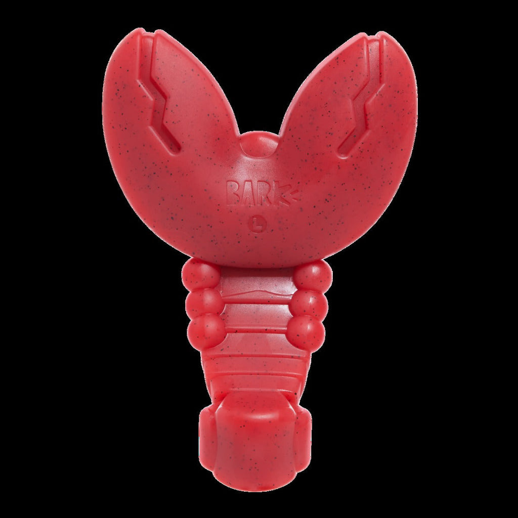 Gnawfish Super Chewer Durable Gnaw Dog Toy