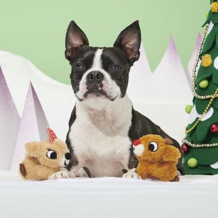 Rudolph® & ClariceTM Plush Multi-Part Dog Toy