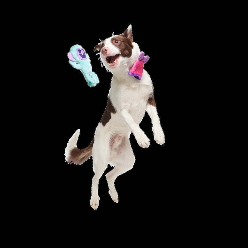 Gigi the Fiji Mermaid Multi-Part + Enrichment Dog Toy