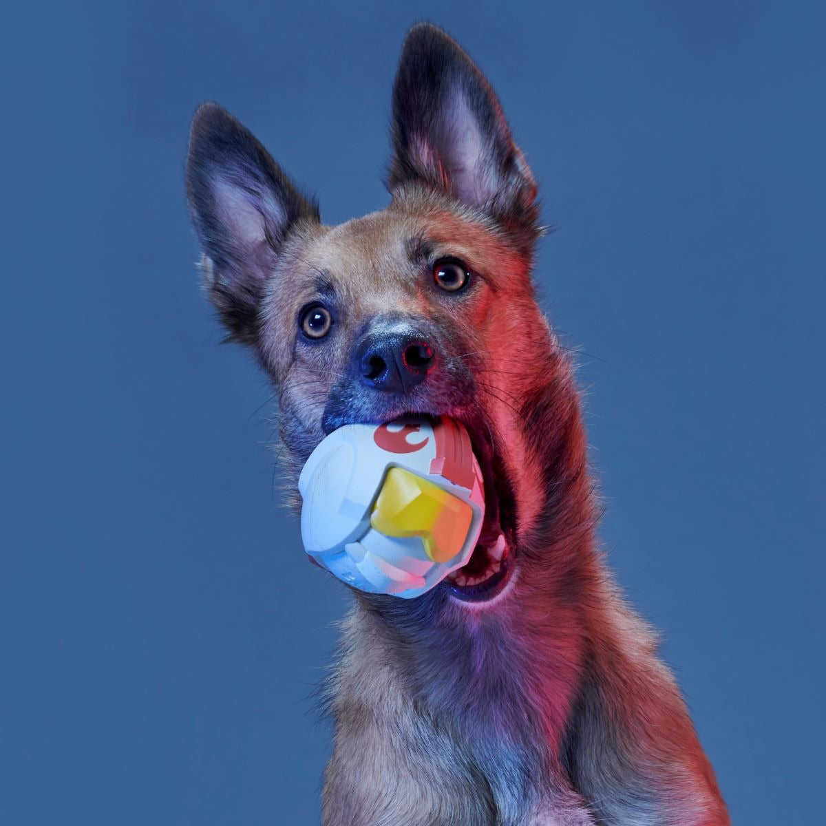 Light Side Star WarsTM Super Chewer Durable Bundle Fetch + Gnaw Dog Toy