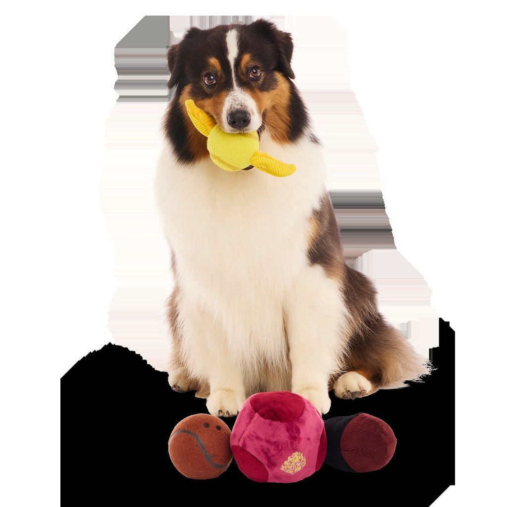 QuidditchTM Equipment Pack Plush Multi-Part + Tennis Ball Fetch Dog Toy