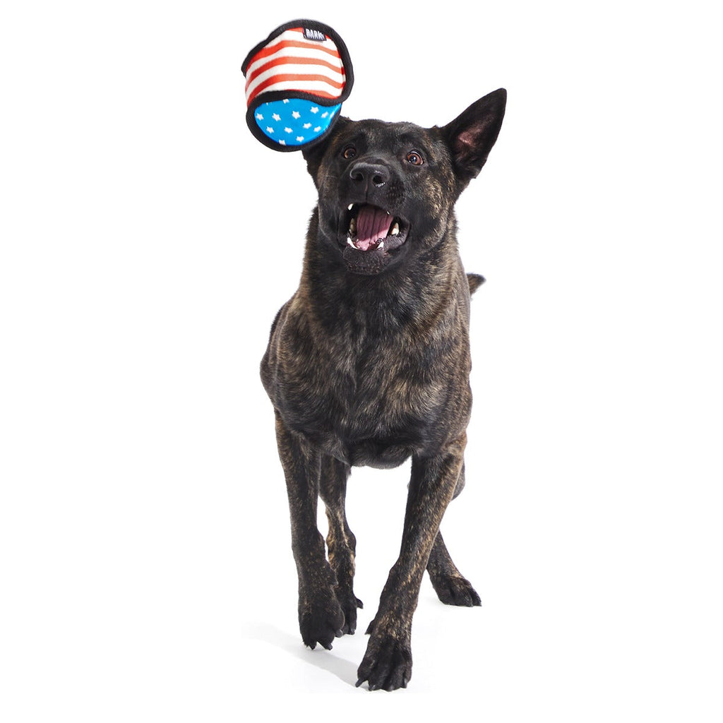 Base Brawl Super Chewer Durable 2-in-1 Fetch Dog Toy