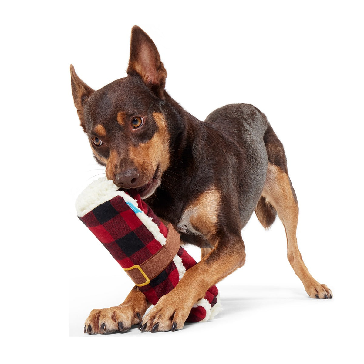 Hygge Snuggler Blanket Plush Enrichment Dog Toy