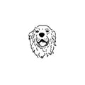 Dog Face Temporary Tattoo