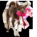 Fahari Flamingo Plush Tug Dog Toy