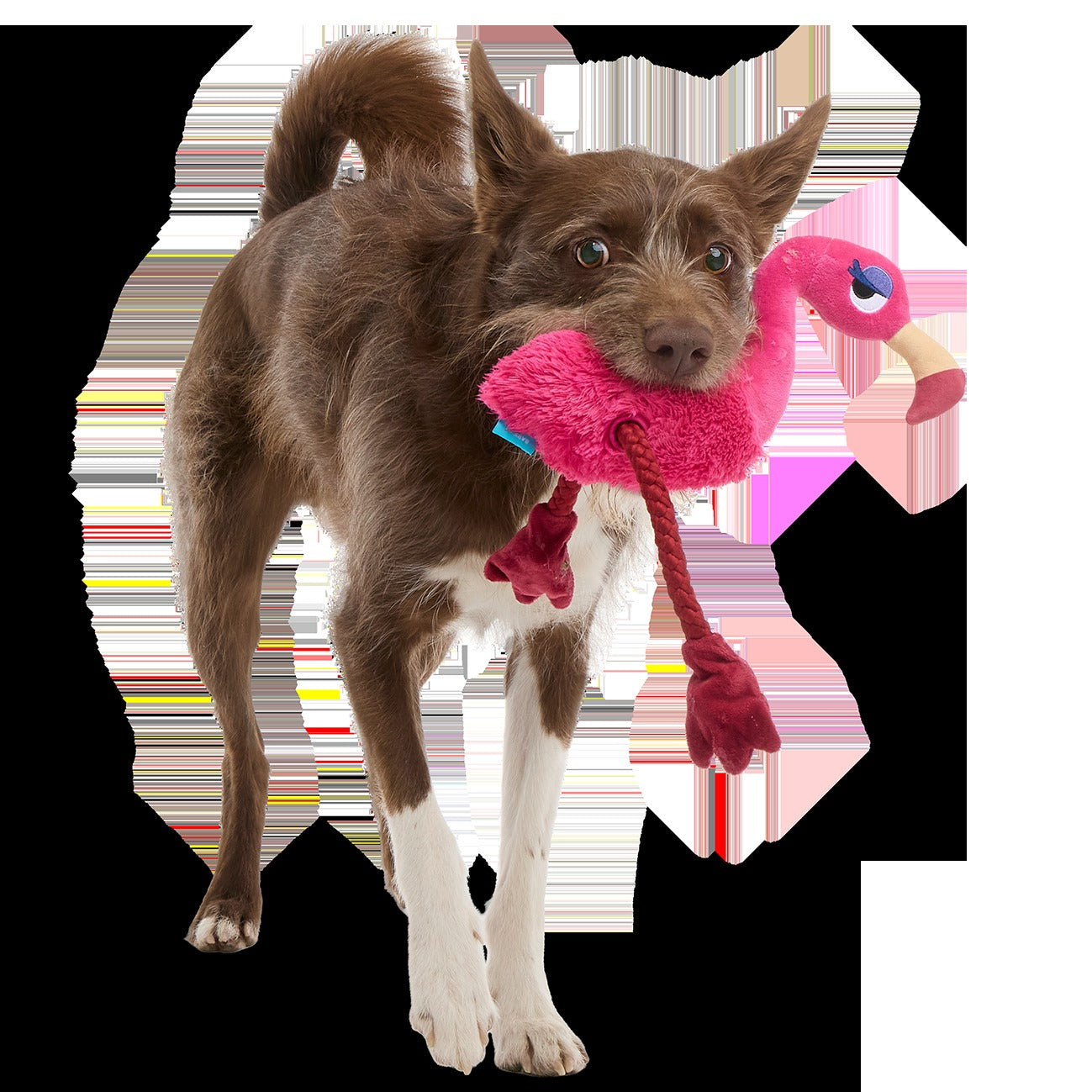 Fahari Flamingo Plush Tug Dog Toy