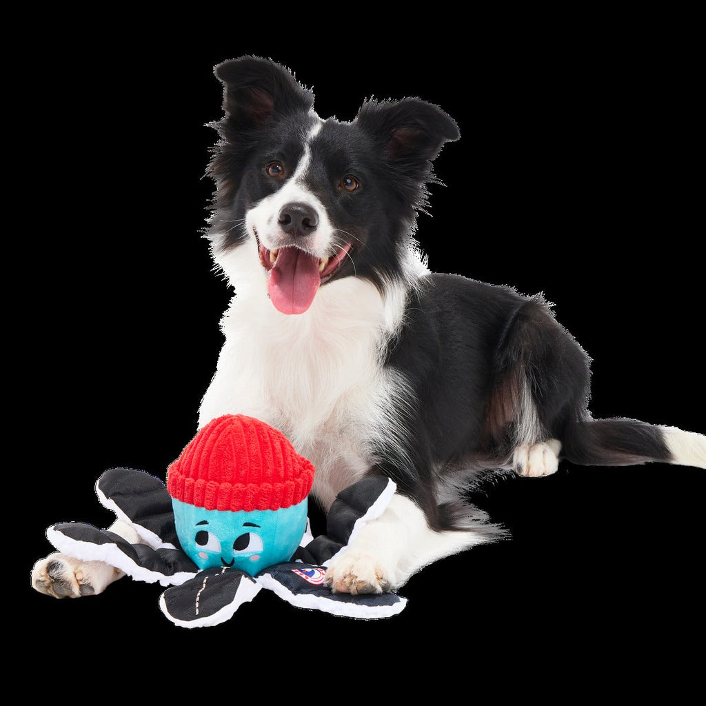 Arctic Ollie Plush Tug Dog Toy