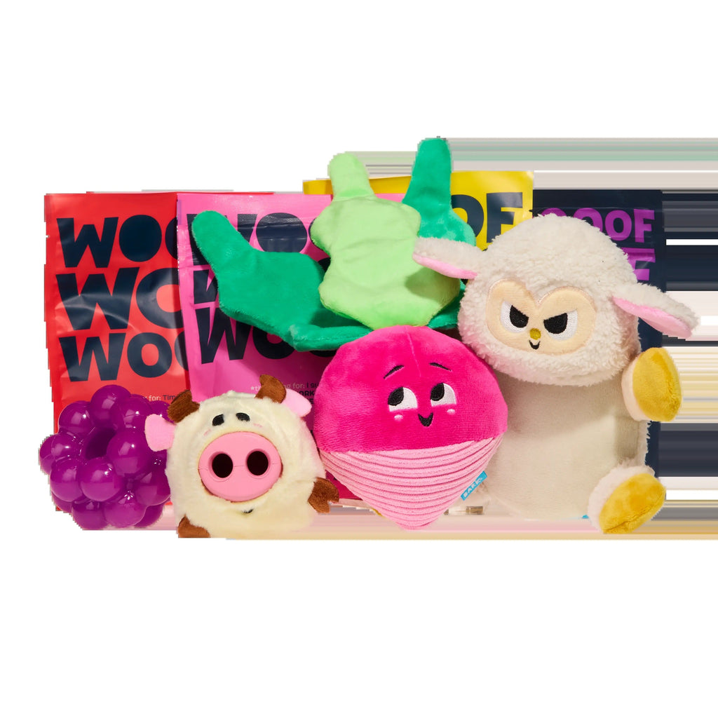 BARK 12 Month Subscription - FREE Extra Treats
