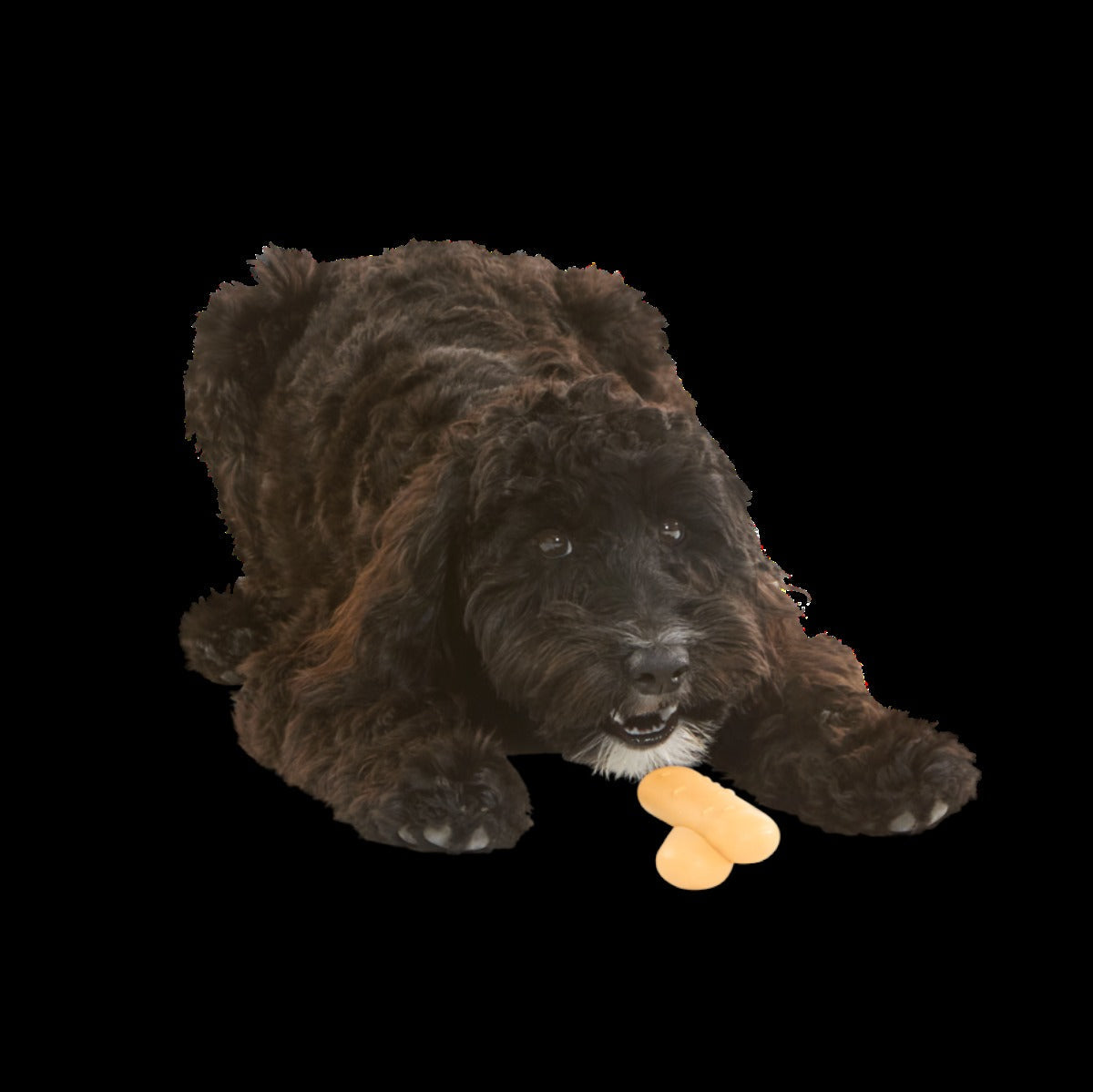 Lady Fingrrrs Durable Super Chewer Gnaw + Enrichment Dog Toy