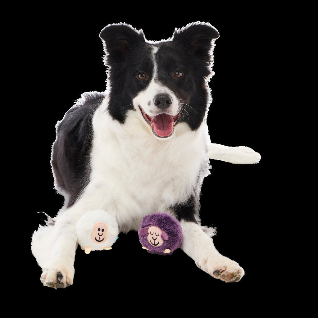 Good Sheep, Baa Sheep Plush Multi-Part Fetch Dog Toy