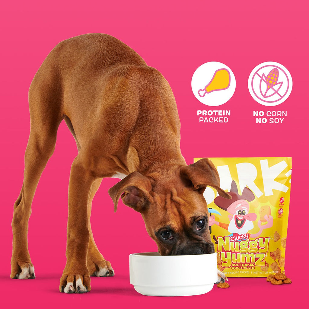 Clucky Nuggy Yumz Soft Baked Chicken Dog Treats, 24 oz