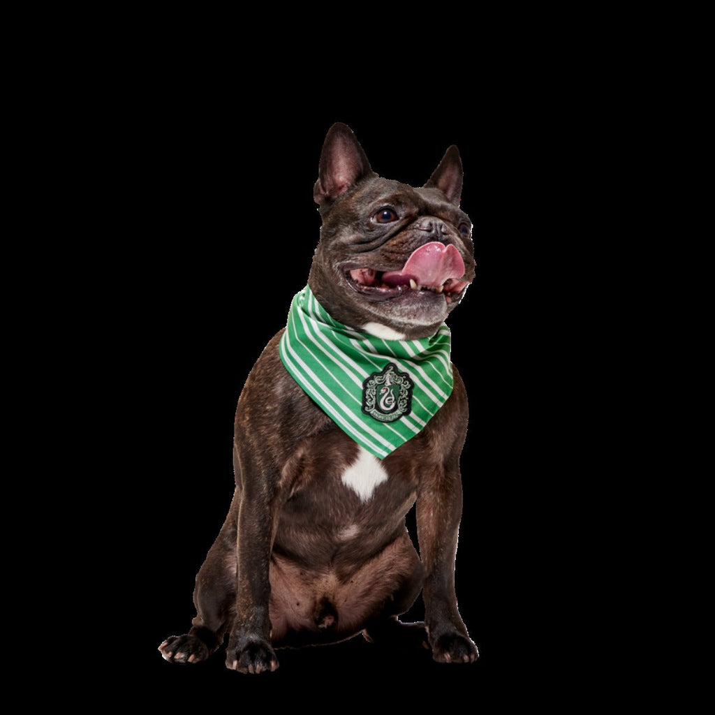 HARRY POTTERTM House Dog Bandana