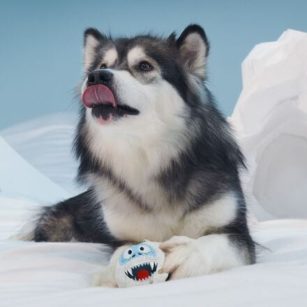 Ruff n' Tumble BumbleTM Durable Super Chewer 2-in-1 Rip and Reveal Dog Toy