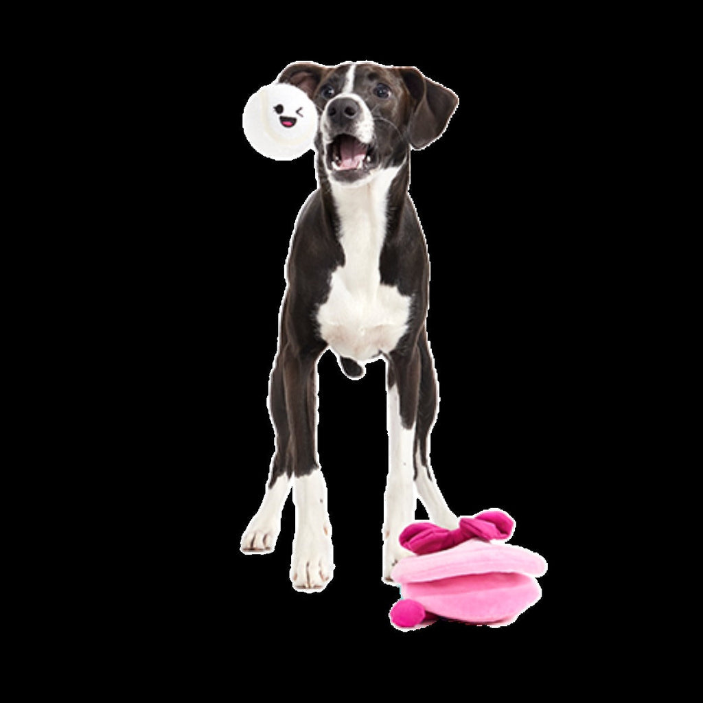 Clamantha Plush Multi-Part + Fetch Dog Toy