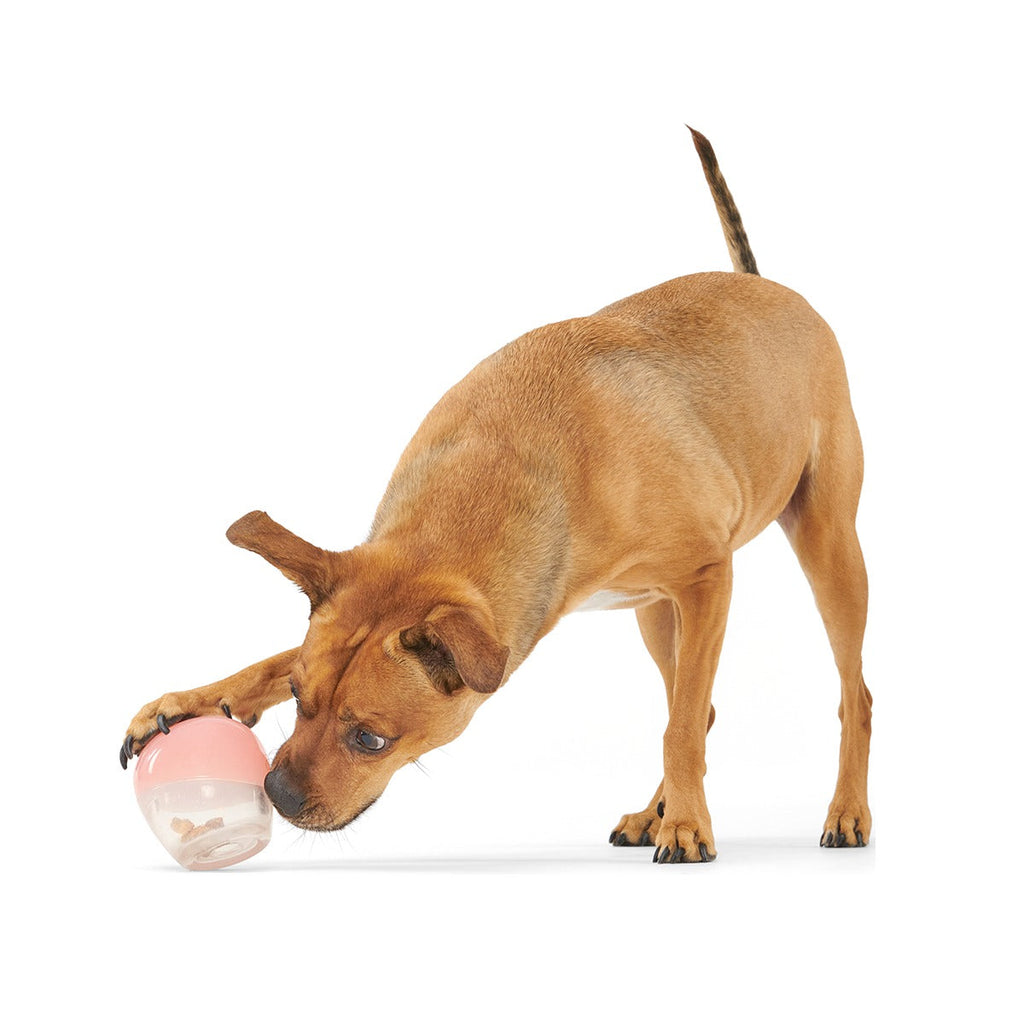 Tipsy Rose Super Chewer Durable Enrichment Dog Toy