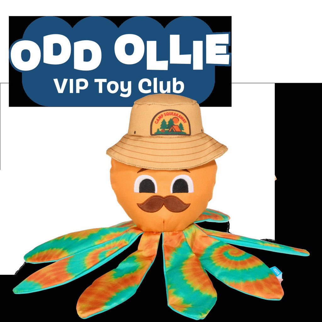 Ollie the Octopus Club, Plush Tug Monthly Dog Toys