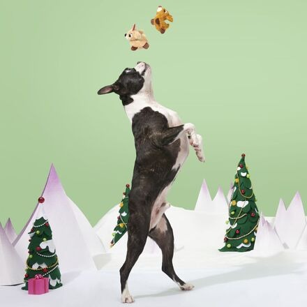 Rudolph® & ClariceTM Plush Multi-Part Dog Toy