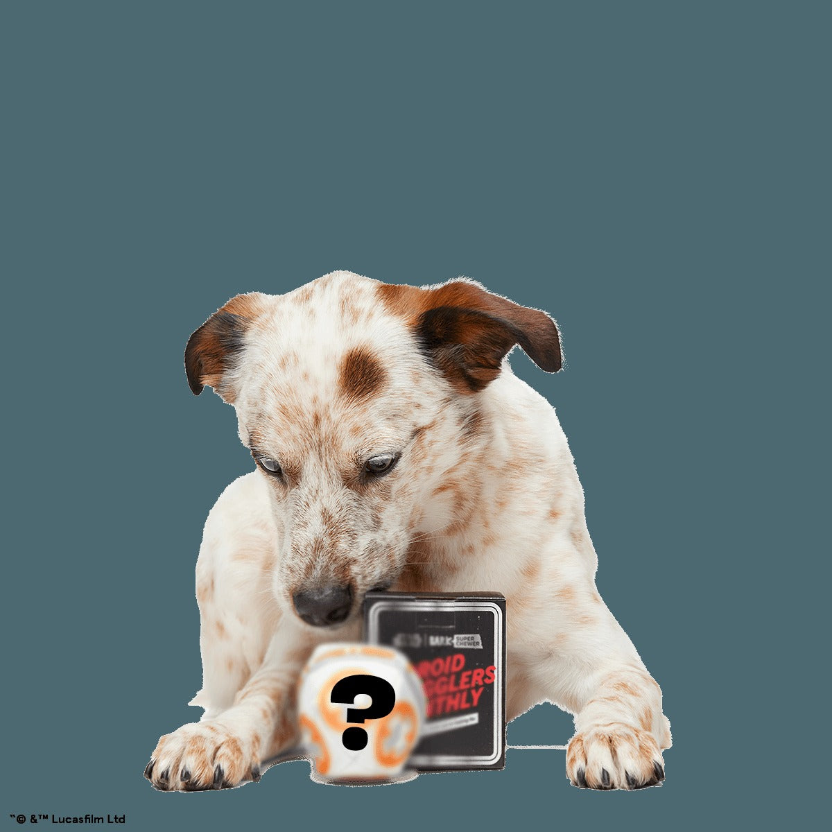 Star WarsTM Droid Smugglers Club, Super Chewer Durable Monthly Dog Toys