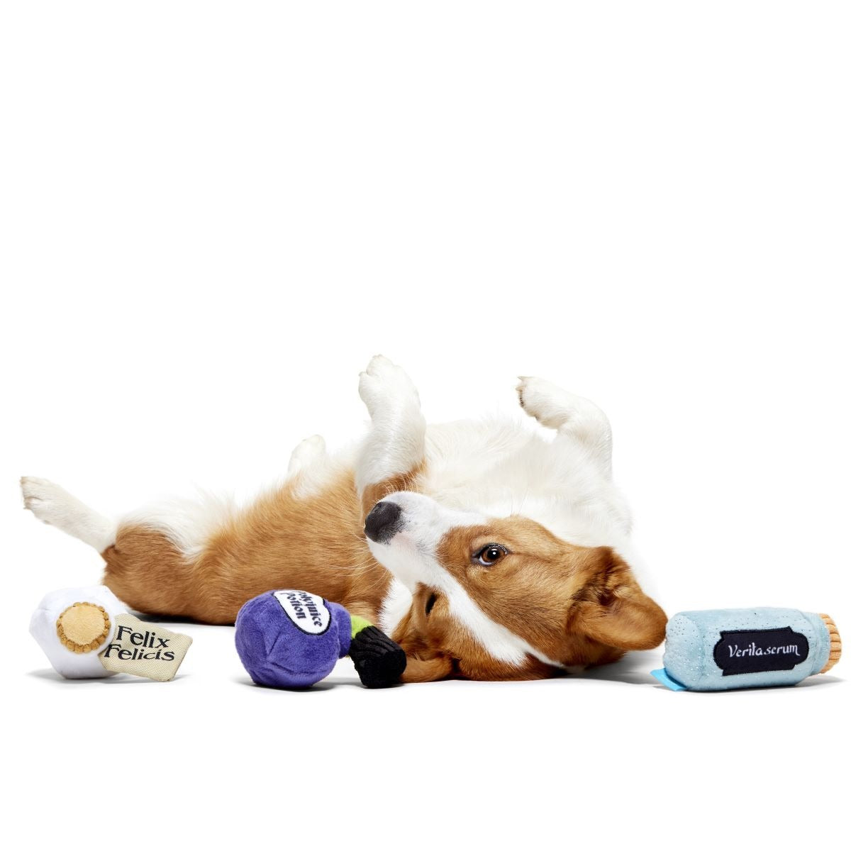 Potions Class PackTM Plush Multi-Part Dog Toy
