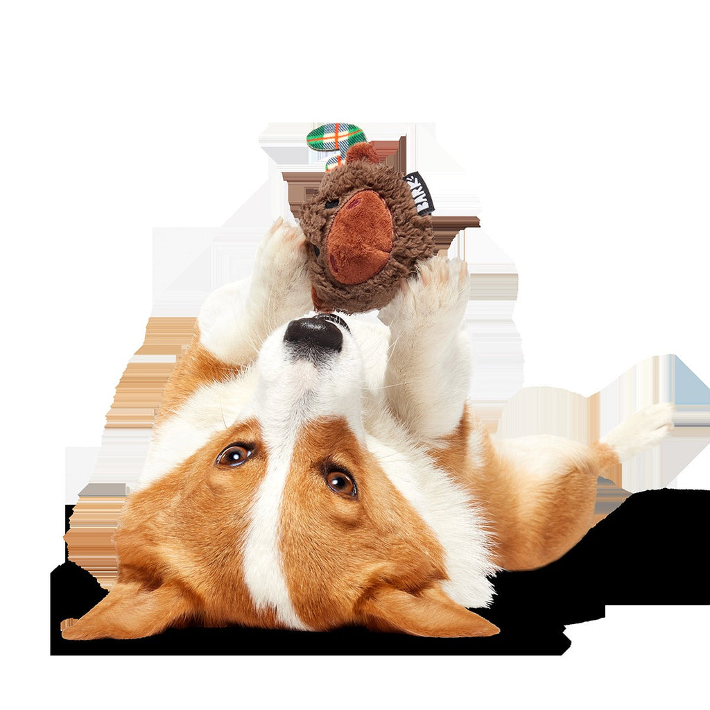 Plaidamoose Super Chewer Durable 2-in-1 + Fetch Dog Toy