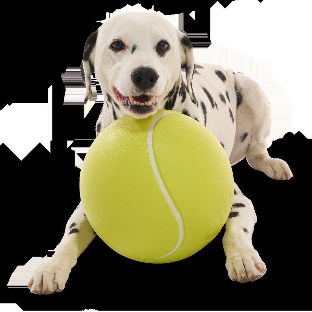 Chompianship Ball Super Chewer Durable Extra-Large + Fetch Dog Toy