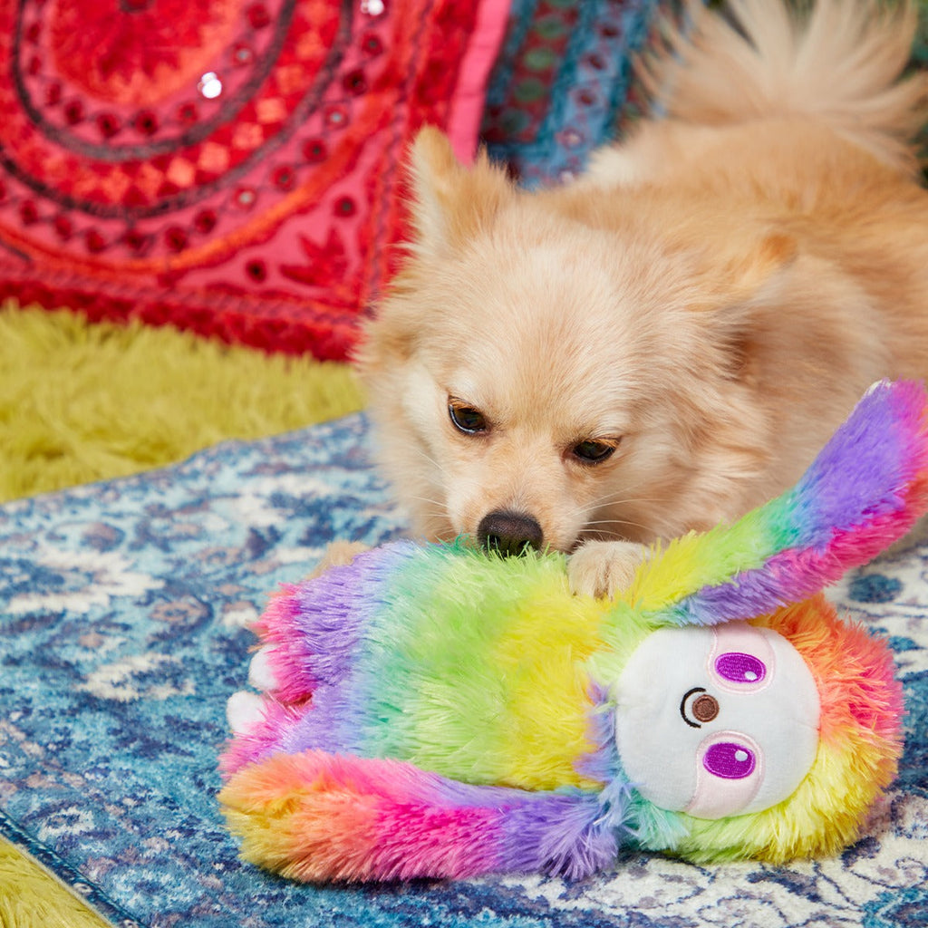 Hairy Garcia Plush Tug Dog Toy