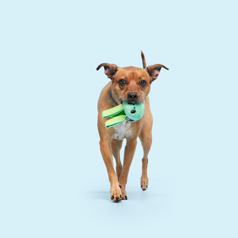 Galactopus Durable Super Chewer 2-in-1 Rip and Reveal + Tug Dog Toy