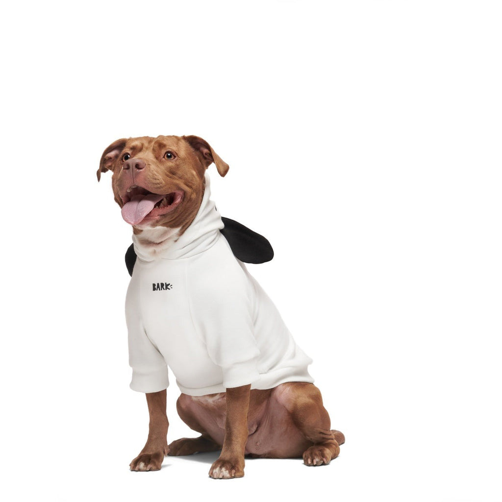 Snoopy Dog Hoodie